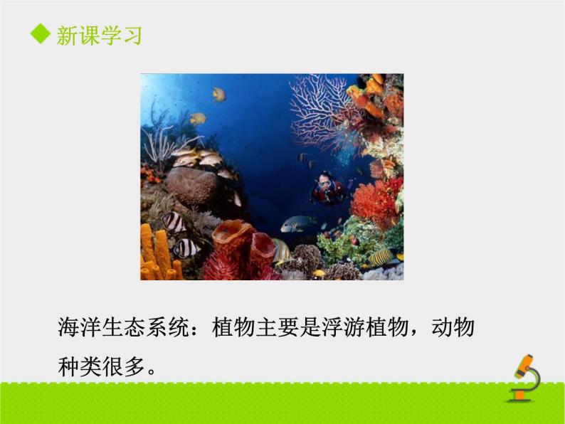 北京版生物八年级下册14.3《生态系统》课件第一课时08
