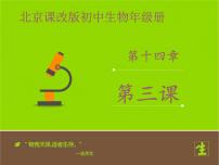 北京版八年级下册第十四章 生物与环境第三节 生态系统课文配套ppt课件