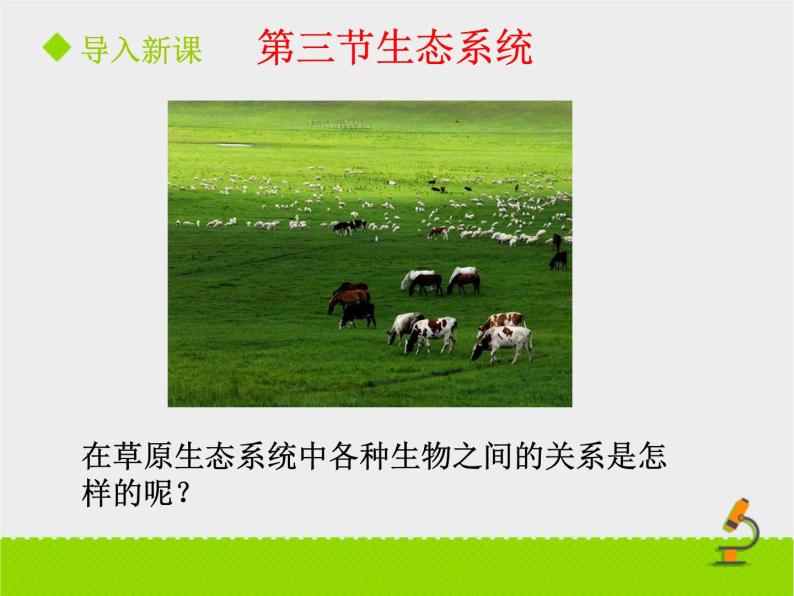 北京版生物八年级下册14.3《生态系统》课件第二课时03