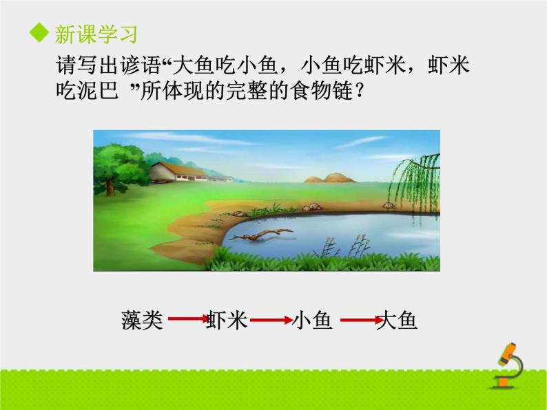 北京版生物八年级下册14.3《生态系统》课件第二课时06