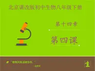 北京版生物八年级下册14.4《人与生物圈》课件第一课时