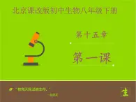 北京版生物八年级下册15.1《传染病》课件第二课时