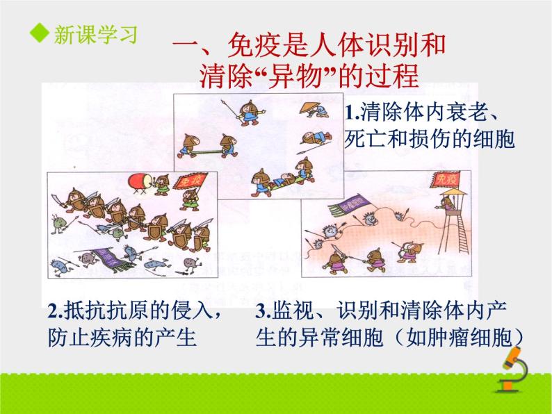 北京版生物八年级下册15.2《免疫》课件04