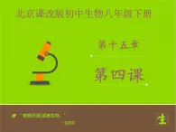 北京版生物八年级下册15.4《安全用药和急救》课件第一课时