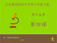 北京版生物八年级下册15.4《安全用药和急救》课件第二课时