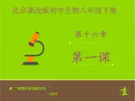 北京版生物八年级下册16.1《传统生物技术的应用》课件第二课时