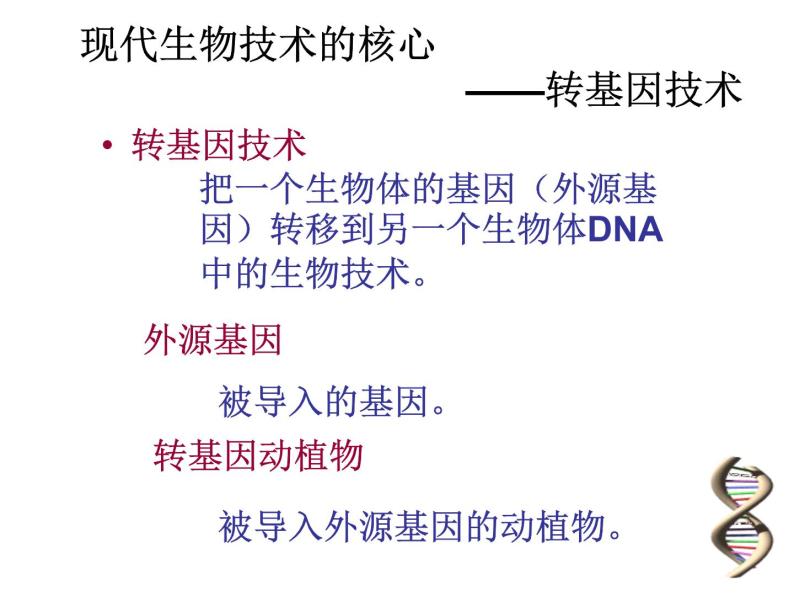 北京版生物八年级下册16.2《现代生物技术的发展》课件06