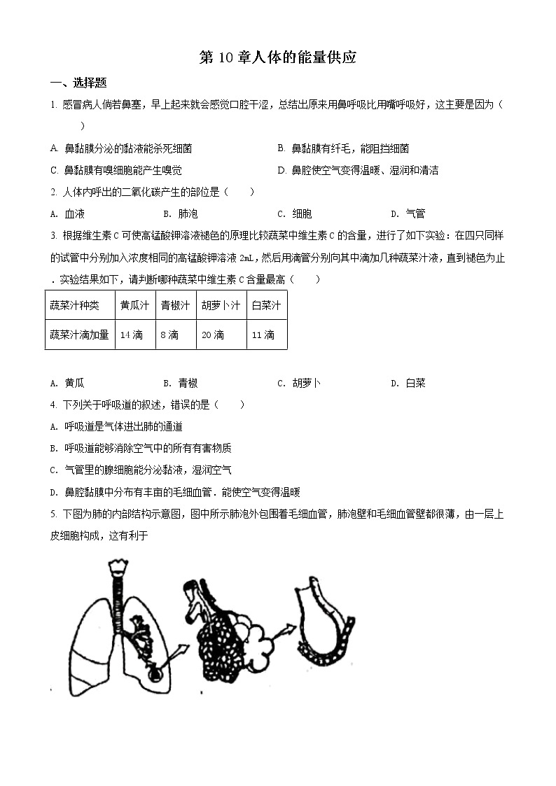 北师大版七年级下册生物第四单元 第10章人体的能量供应 单元巩固与训练（解析版）01