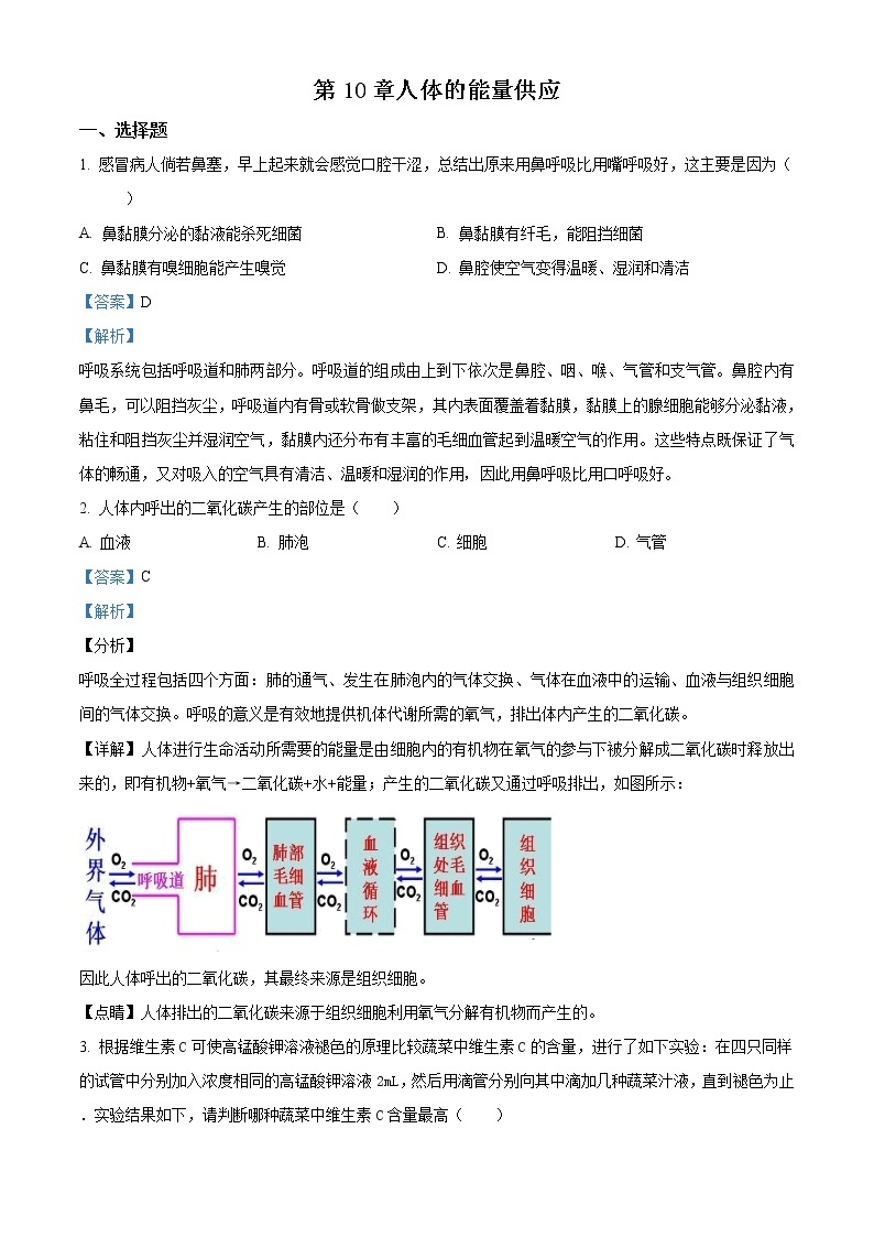 北师大版七年级下册生物第四单元 第10章人体的能量供应 单元巩固与训练（解析版）01