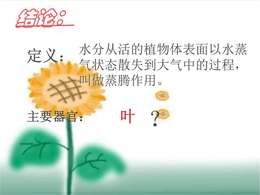 魯科版（五四學(xué)制）生物六年級(jí)下冊(cè)3.2《綠色植物參與生物圈的水循環(huán)》ppt課件第4頁