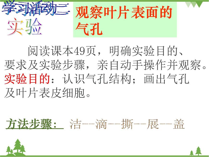 魯科版（五四學(xué)制）生物六年級(jí)下冊(cè)3.2《綠色植物參與生物圈的水循環(huán)》ppt課件第6頁