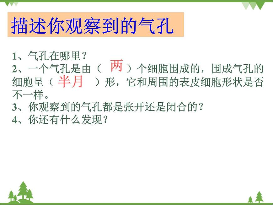 魯科版（五四學(xué)制）生物六年級(jí)下冊(cè)3.2《綠色植物參與生物圈的水循環(huán)》ppt課件第7頁