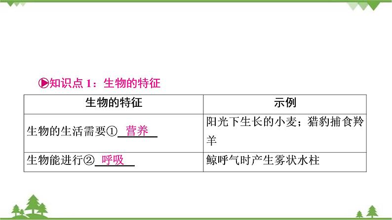 2021年生物中考人教版复习课件:第1单元 第1章 认识生物第3页