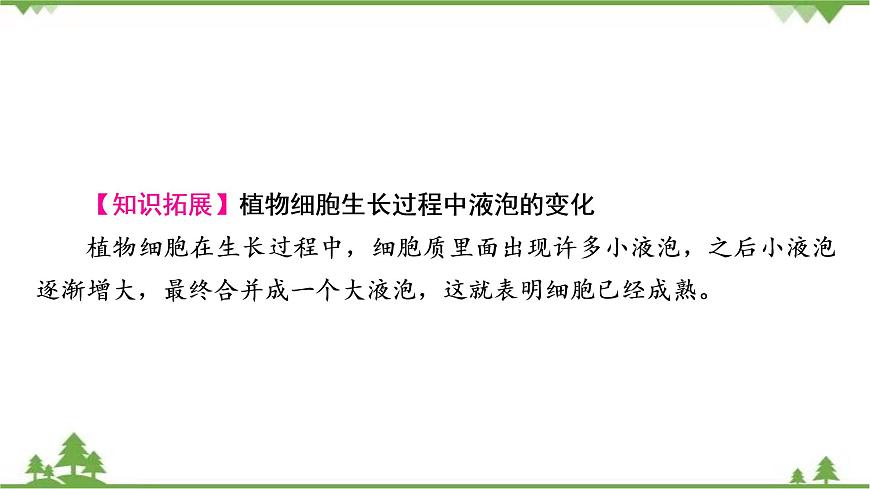 2021年生物中考人教版復(fù)習(xí)課件：第2單元 第2章 細(xì)胞怎樣構(gòu)成生物體第3頁(yè)