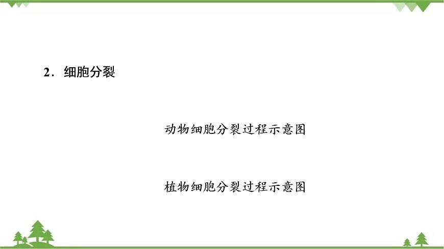 2021年生物中考人教版復(fù)習(xí)課件：第2單元 第2章 細(xì)胞怎樣構(gòu)成生物體第4頁(yè)