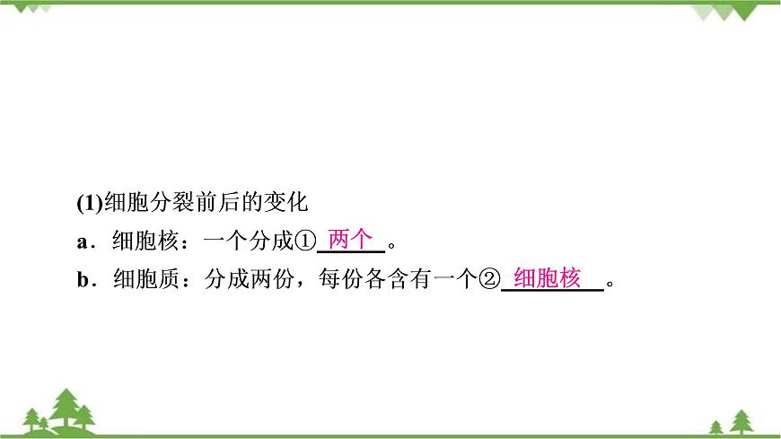 2021年生物中考人教版復(fù)習(xí)課件：第2單元 第2章 細(xì)胞怎樣構(gòu)成生物體第5頁(yè)