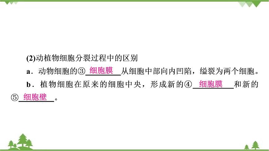 2021年生物中考人教版復(fù)習(xí)課件：第2單元 第2章 細(xì)胞怎樣構(gòu)成生物體第6頁(yè)