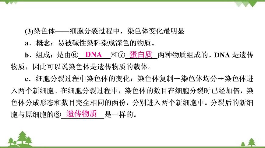 2021年生物中考人教版復(fù)習(xí)課件：第2單元 第2章 細(xì)胞怎樣構(gòu)成生物體第7頁(yè)