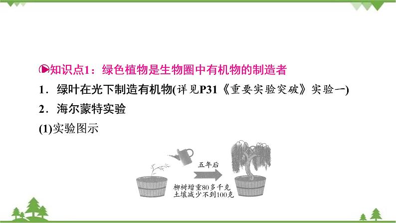 2021年生物中考人教版复习课件:第3单元 第4、5、6章 综合复习02