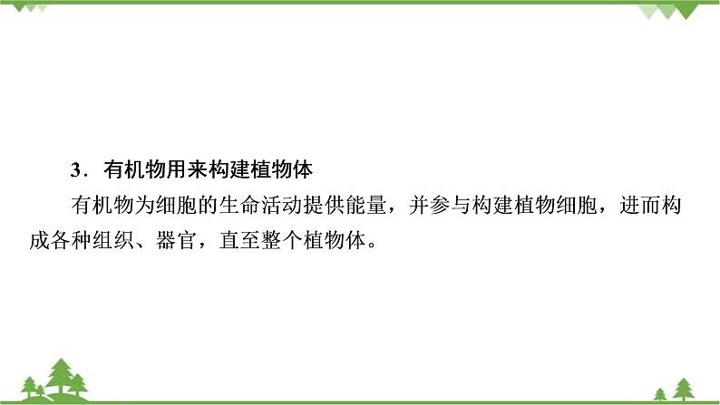 2021年生物中考人教版复习课件:第3单元 第4、5、6章 综合复习04