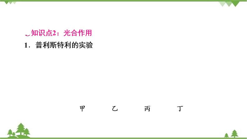 2021年生物中考人教版复习课件:第3单元 第4、5、6章 综合复习07