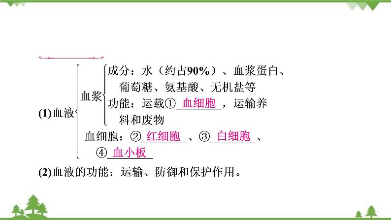 2021年生物中考人教版复习课件:第4单元 第4章 人体内物质的运输03