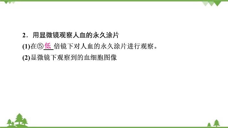 2021年生物中考人教版复习课件:第4单元 第4章 人体内物质的运输04
