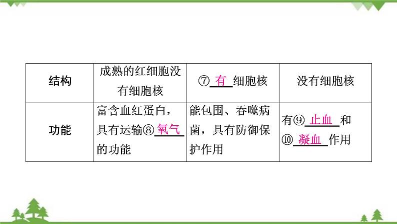 2021年生物中考人教版复习课件:第4单元 第4章 人体内物质的运输06