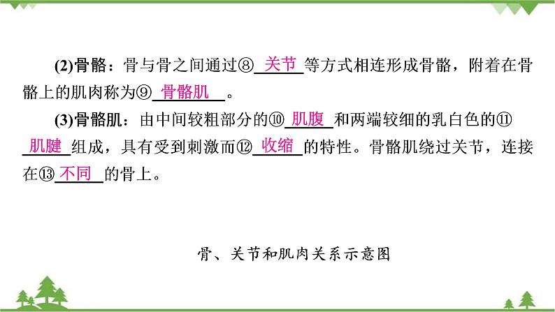 2021年生物中考人教版复习课件:第5单元 第2章 第3章 动物在生物圈中的作用06
