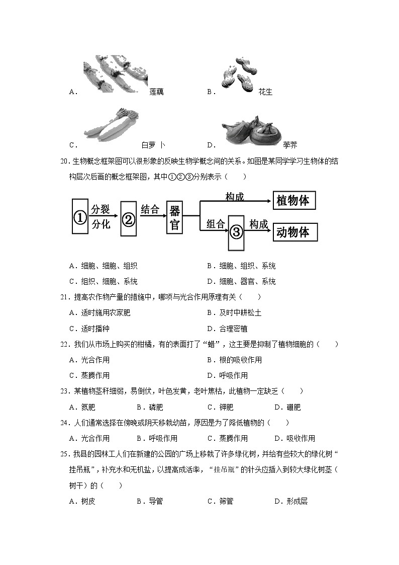 2020-2021学年广东省揭阳市普宁市七年级(上)期末生物试卷 解析版第3页