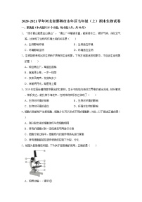 2020-2021学年河北省邯郸市永年区七年级（上）期末生物试卷   解析版