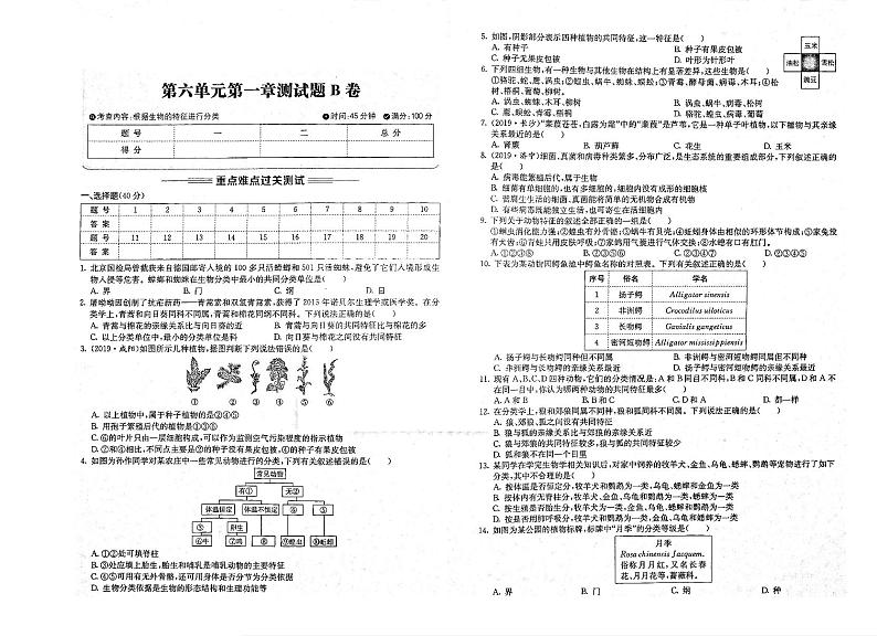 八年级生物上册第六单元生物的多样性及其保护第一章根据生物的特征进行分类测试题pdfB卷无答案新版新人教版01
