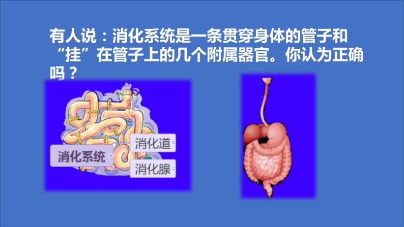 人教版七年级下册生物2.2消化和吸收 PPT课件+视频02