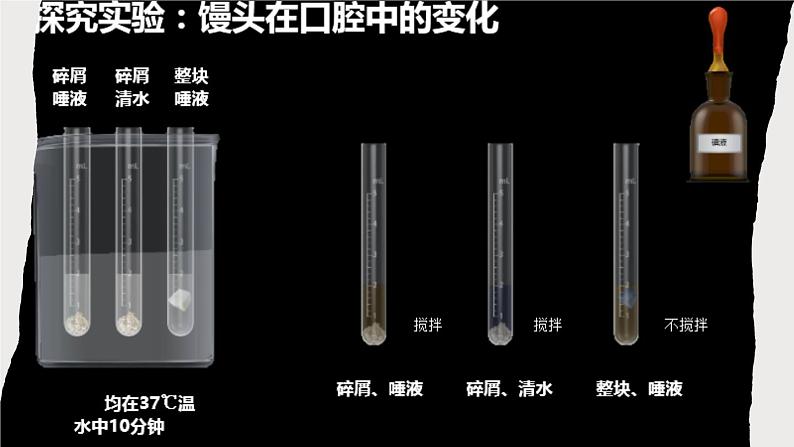 人教版七年级下册生物2.2消化和吸收 PPT课件+视频第6页