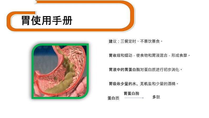 人教版七年级下册生物2.2消化和吸收 PPT课件+视频第8页