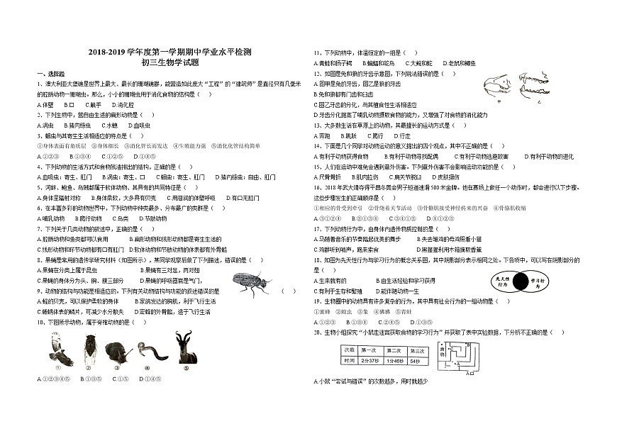 魯科版淄博張店2018-2019學(xué)年度八上期中生物學(xué)試題（含答案）第1頁