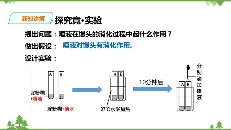 冀教版生物七下2.1.2 食物的消化（第一课时）课件+教案+练习06