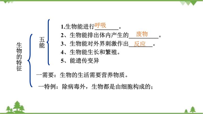 人教版七年级上册生物知识点总结课件02