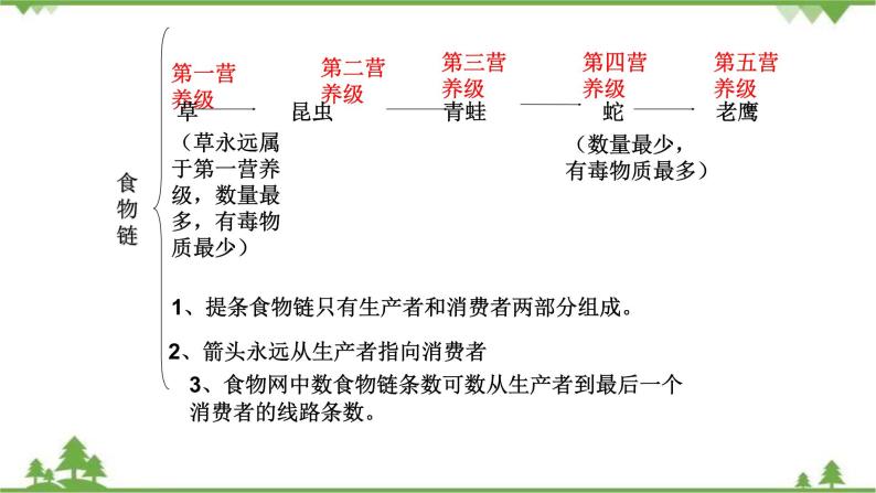 人教版七年级上册生物知识点总结课件07