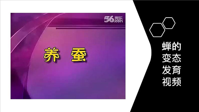 人教版部编八年级下生物7.1.2昆虫的生殖和发育 精品课件含视频素材第6页
