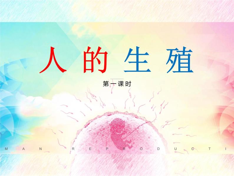 4.1.2《人的生殖》 第一课时 PPT课件01