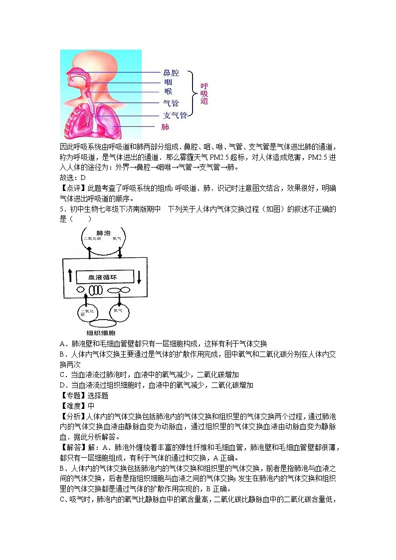 济南版七年级下册生物期中2卷03