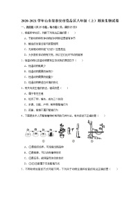 2020-2021学年山东省泰安市岱岳区八年级（上）期末生物试卷     解析版