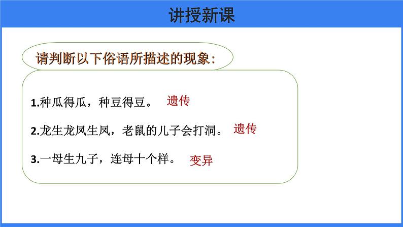 第二章 第一节 基因控制生物的性状 课件PPT第4页
