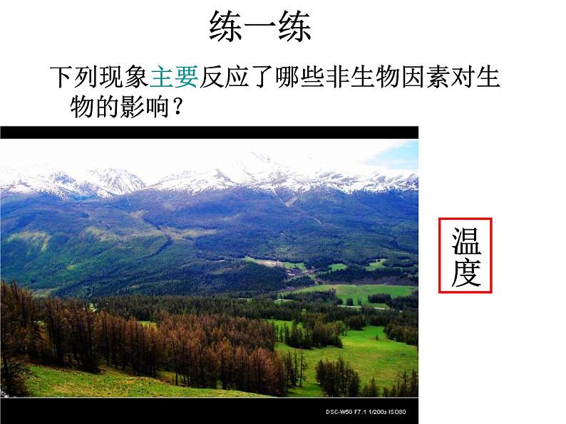1.2.1《生物与环境的关系》 第一课时 PPT课件第7页