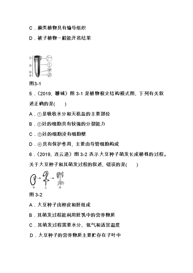 (人教版)中考生物专项三    绿色植物（一）含答案 练习02