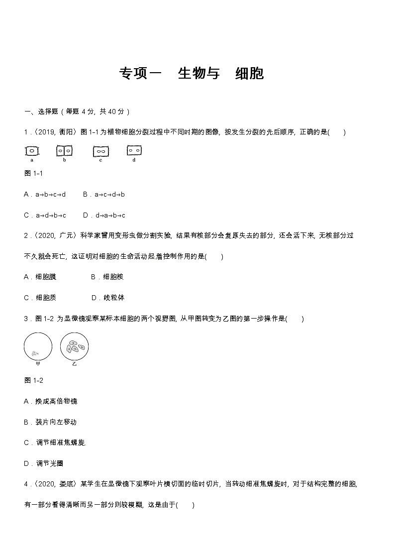 (人教版)中考生物专项一 生物与 细胞含答案 练习01