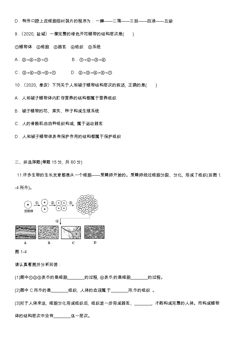 (人教版)中考生物专项一 生物与 细胞含答案 练习03