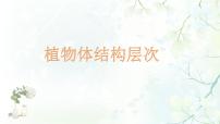 人教版 (新课标)七年级上册第二单元 生物体的结构层次第二章 细胞怎样构成生物体第三节 植物体的结构层次优秀课件ppt