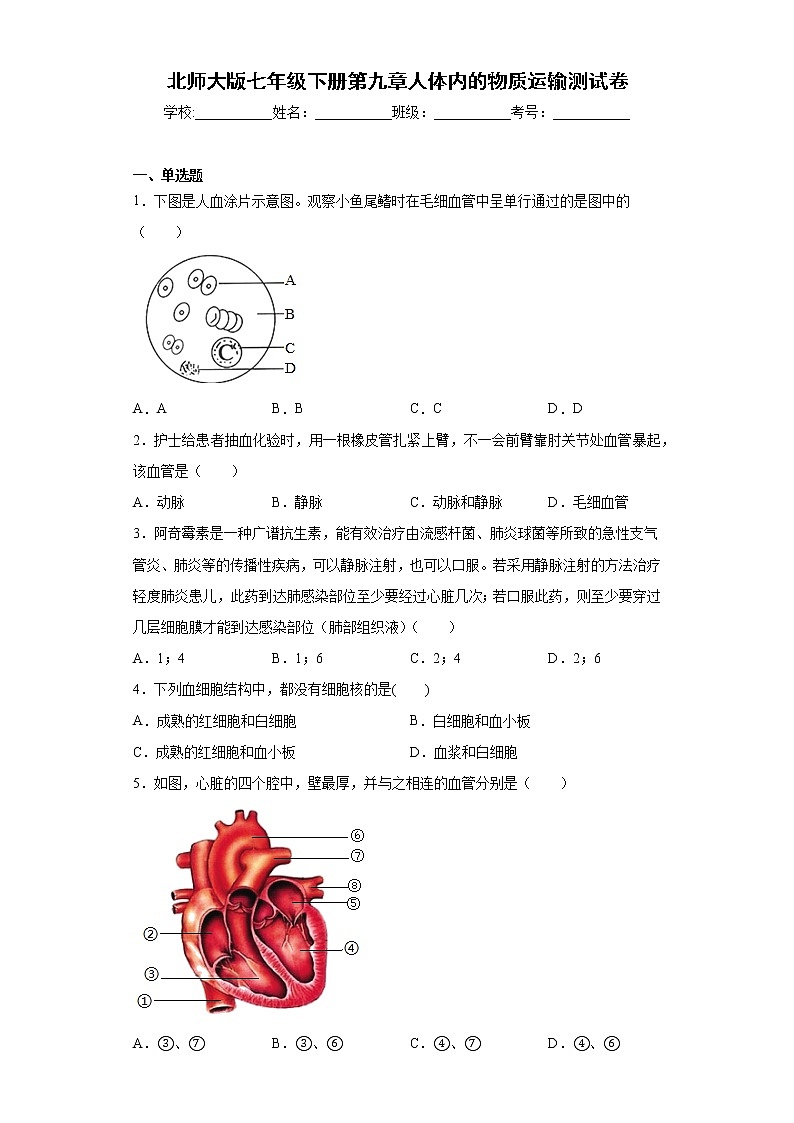 北师大版生物七年级下册第九章《人体内的物质运输》测试卷(含答案)第1页